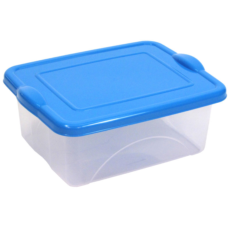 clear plastic storage tubs